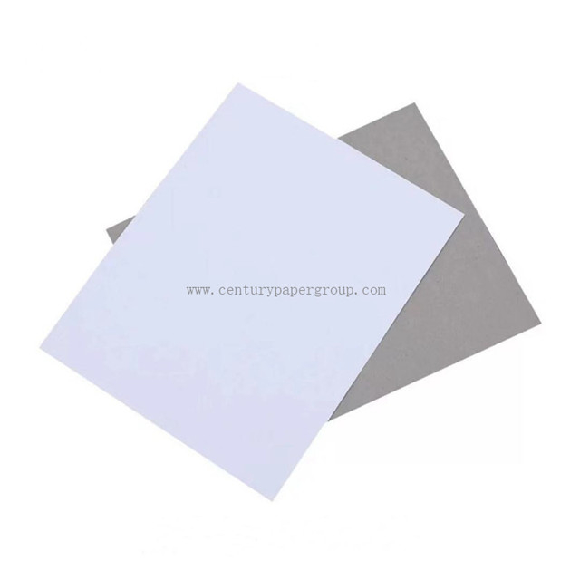 250GSM 300GSM 350 GSM 400GSM White Coated Duplex Grey Cardboard Paper Board with Grey Back