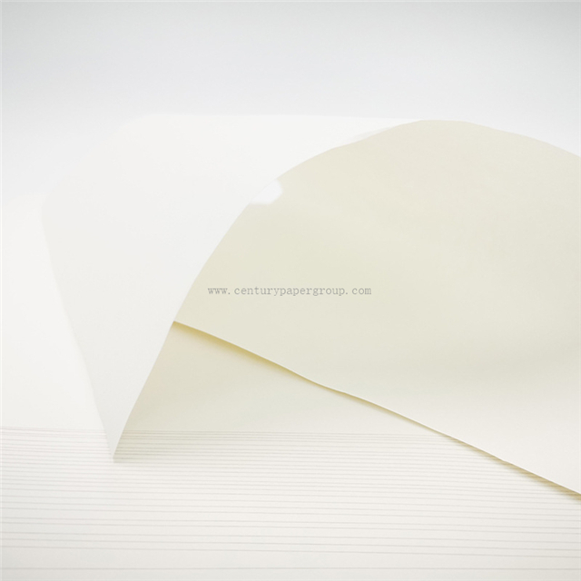 30*40 70g/m2 Woodfree Offset Paper for Propaganda Poster