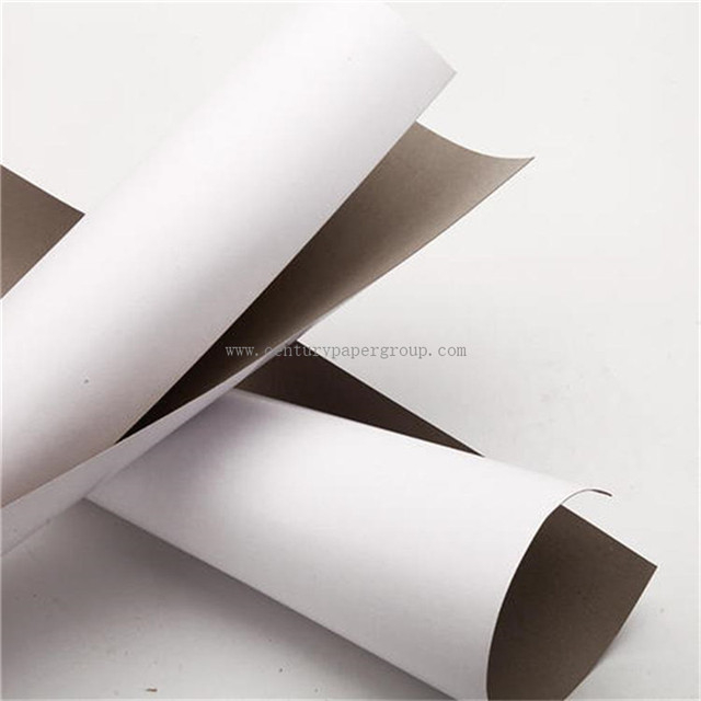 250GSM White Cardboard Paper Triplex Board & Duplex Back