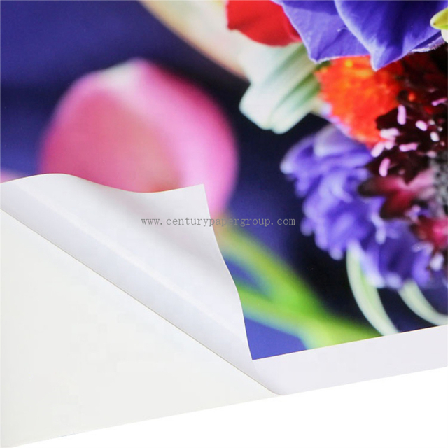 PVC Self Adhesive Vinyl Car Sticker Film