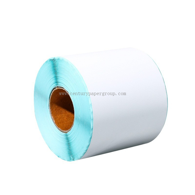 Cast Coated self Adhesive Paper