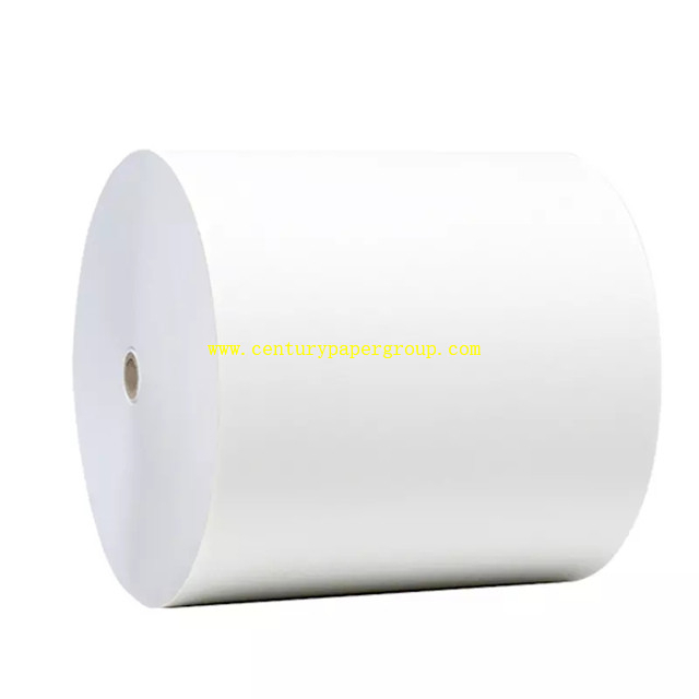 Pe Coated Paper - Manufacturers Suppliers & Dealers