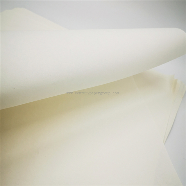 80GSM Cream Shade Uncoated Offset Paper Reel Paper