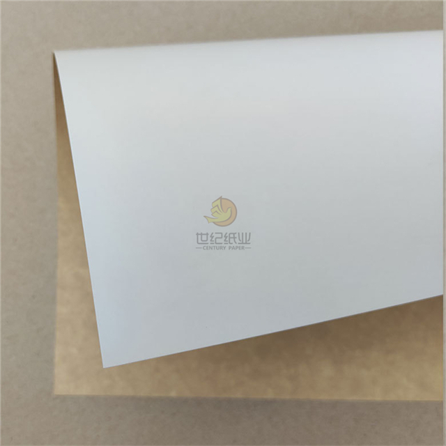 White top Coated Kraft Testliner 200GSM Duplex Board Grey Back Carton Paper Board