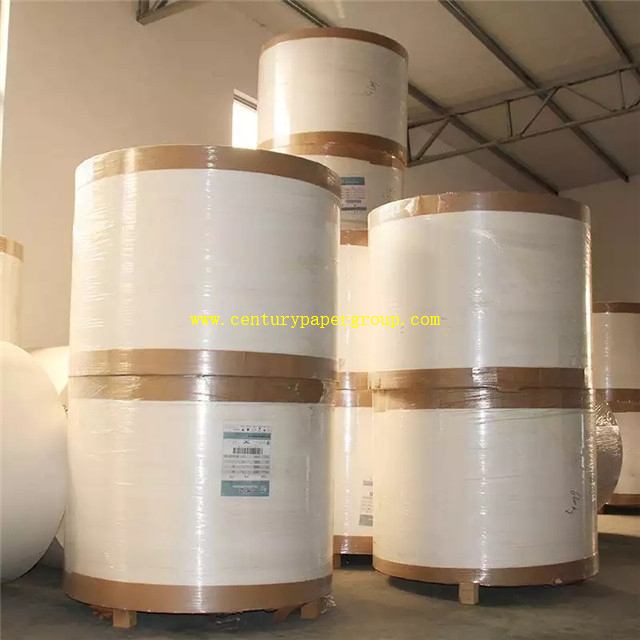Single Side PE Coated Cupstock Board Jumbo Roll