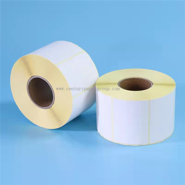 Cast Coated Self-Adhesive paper sheets 