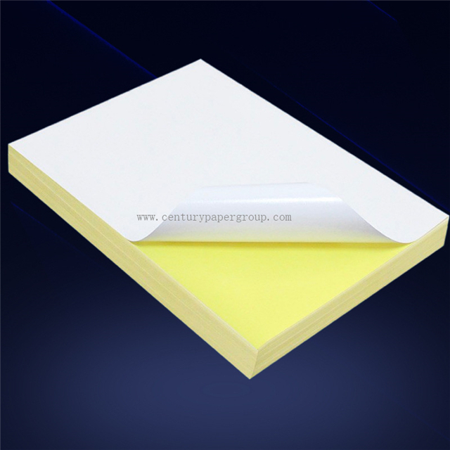 Customized Cast Coated Paper at Low Price