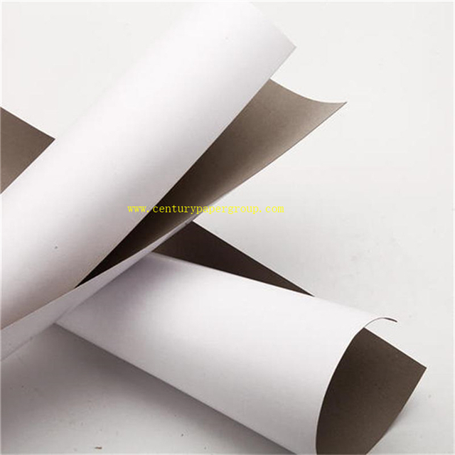 250g Duplex Board with Grey Back/Duplex Board/Duplex Paper