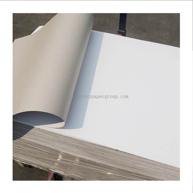 Paper Board Grey Back/Coated Paper Superior Manufacturer 250 GSM Duplex Paperboard