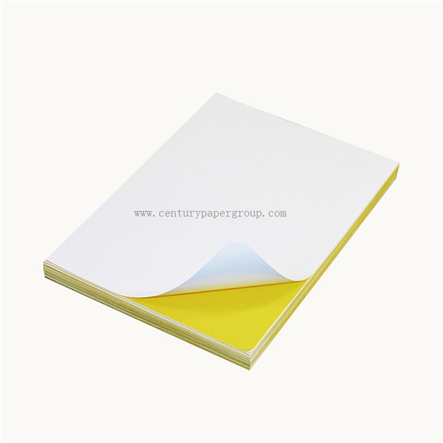 Self Adhesive Cast Coated Paper in China