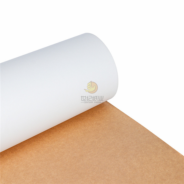 Top White Color with Kraft Back Duplex Paper Board