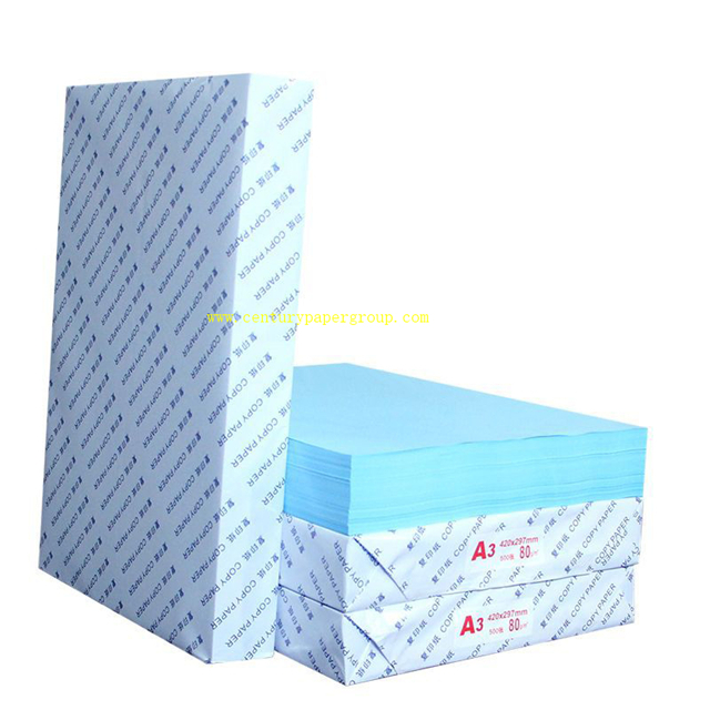 Blueprint Paper Roll for Crafts Drawing & Painting