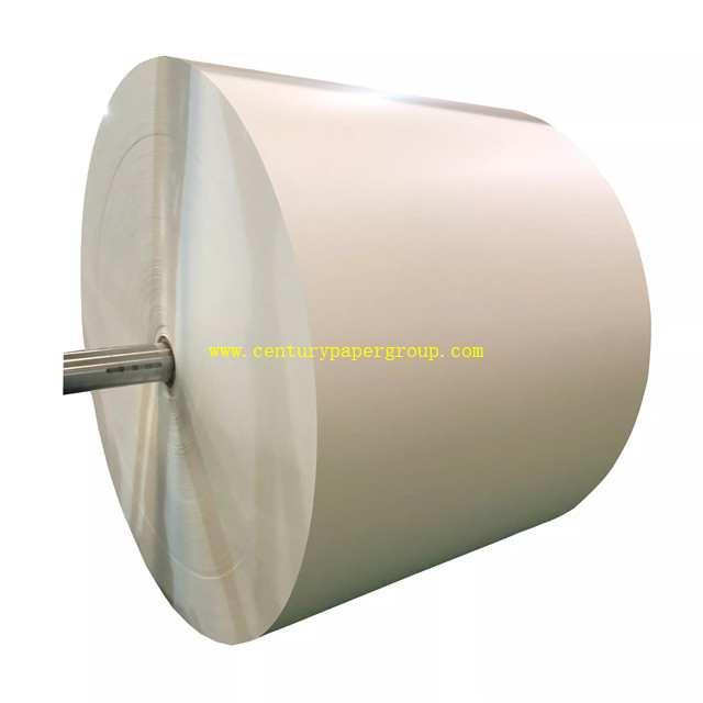 PE Coated Paper Roll