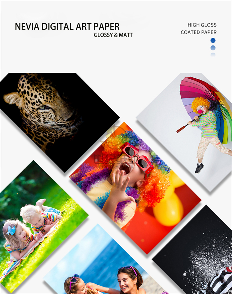 Nevia Digital Art Paper from China manufacturer Century Paper Group