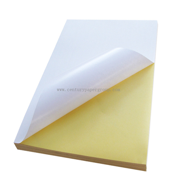 Hot Sale Blank Self Adhesive Thermal Paper Label Sticker Roll