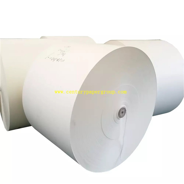 PE Coated Paper for All Kinds of Cup