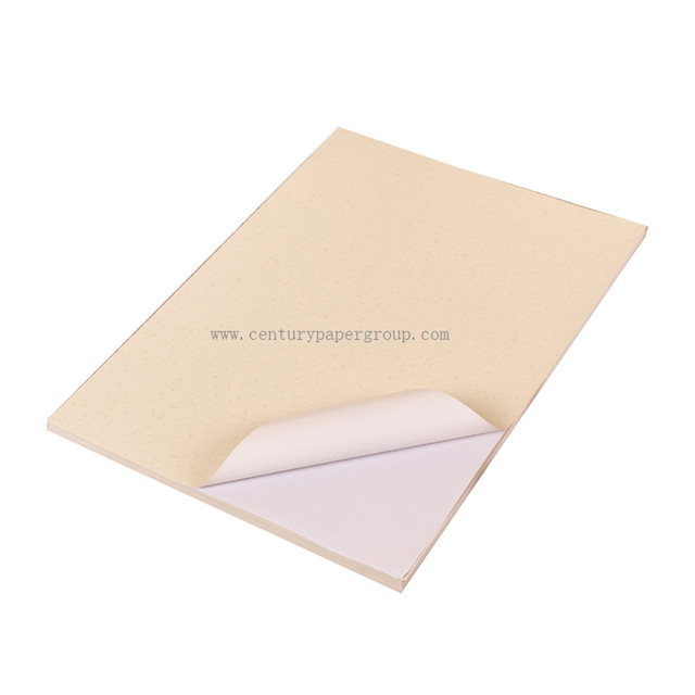 80GSM Coated Cast Gloss paper